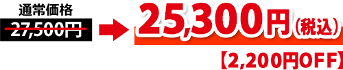 通常価格より3,300円お得！通常価格26,400円（税込）⇒23,100円（税込）